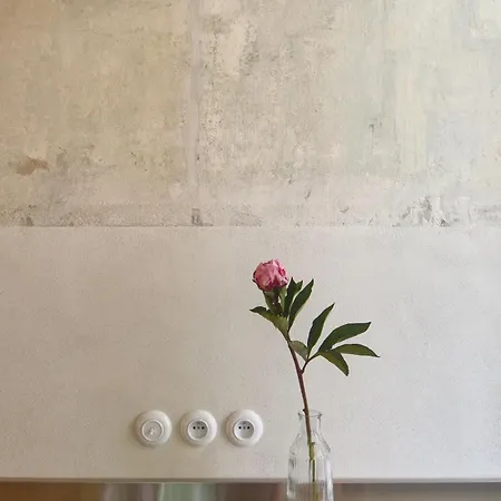 Extraordinary Quiet In The Very Centre Apartment